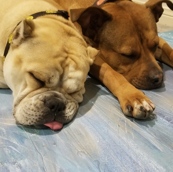 MEET YOUR POSHER - Picture 7 of 8